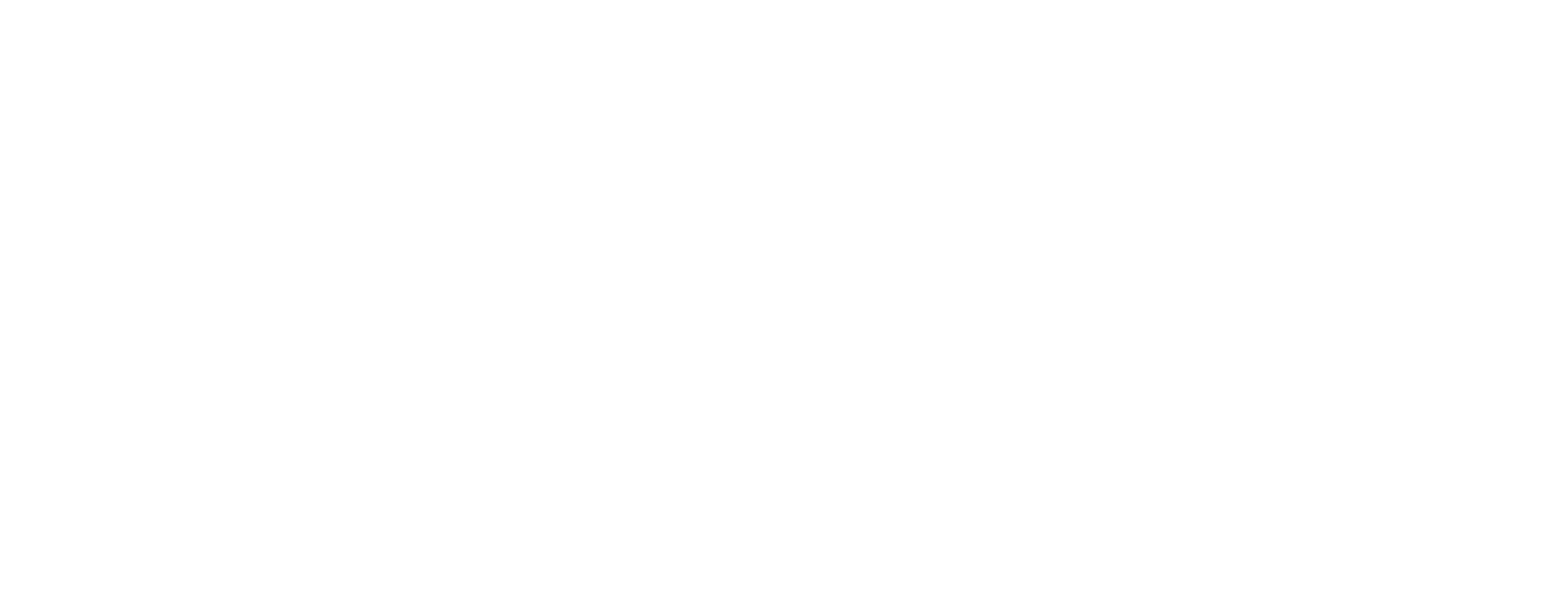 VSDNA